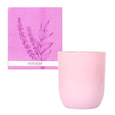 Parkash Candles Premium Scented Glass Candle (Lavender)